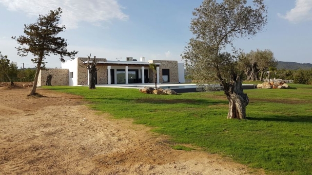 villa-ibicenca-y-olivos-centenarios-3128265